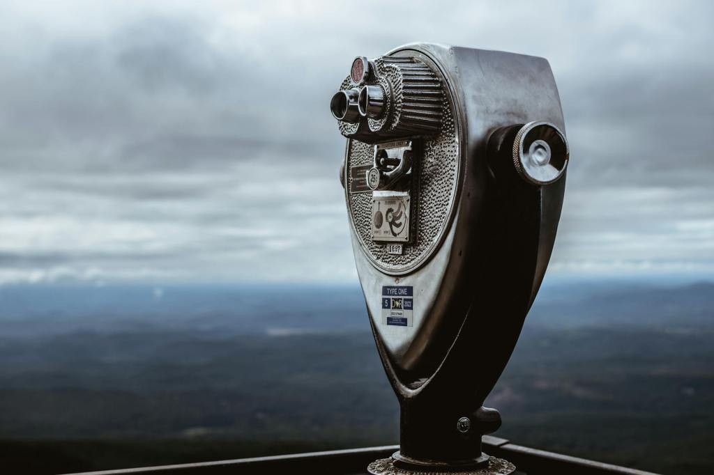 In search of my lost&nbsp;tribe